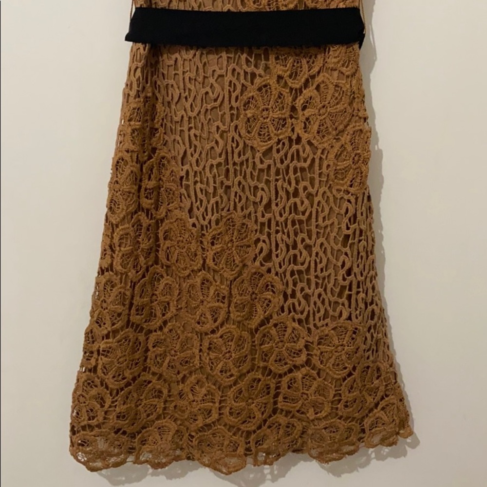 Mini Dresses - Picture 4 of 4